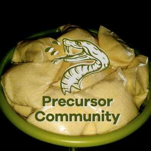    - Precursor Community - 