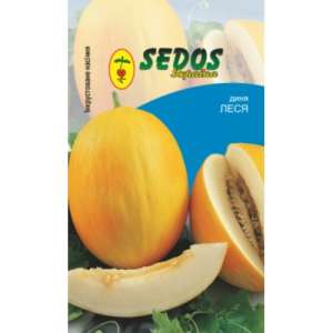    Sedos