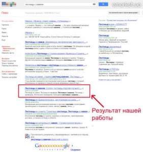 ,   (SEO) - 