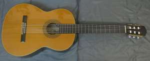    Takamine CP-132 S (Japan) - 