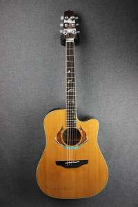    Takamine LTD-2002