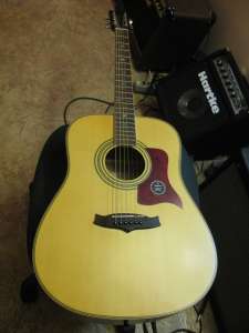    Tanglewood TW 115 ST ()