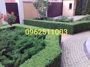   10-  , , 8000 /. - 