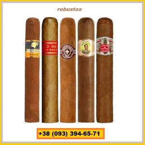   5     Robustos - 