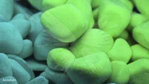   Acmelight Natur Stones