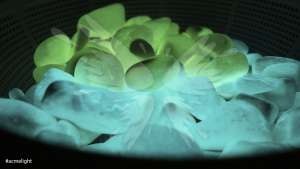   Acmelight Natur Stones