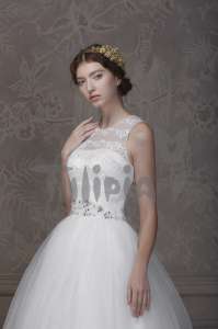   ALFREDA