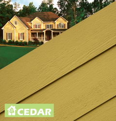   Cedar, S 0500-N