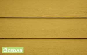   Cedar, S 1020-Y10R - 