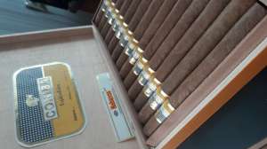   Cohiba Esplendidos