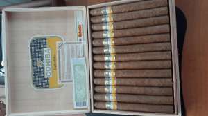   Cohiba Esplendidos