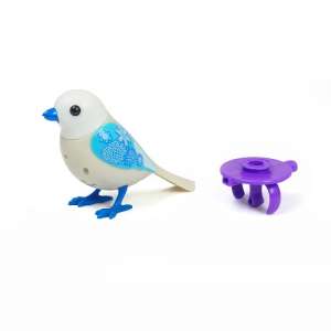   DigiBirds