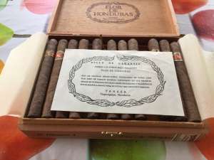   Flor de Honduras 420 - 