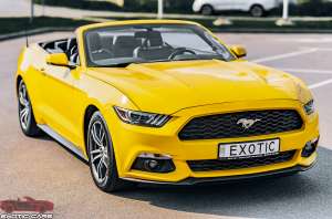   Ford Mustang