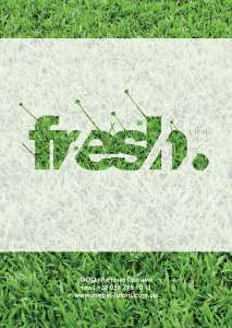   Fresh (  )