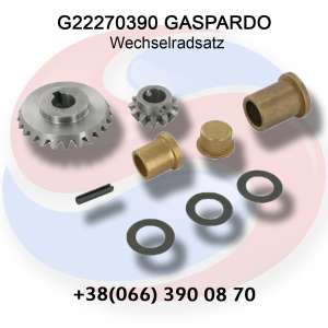  () G22270390 Gaspardo