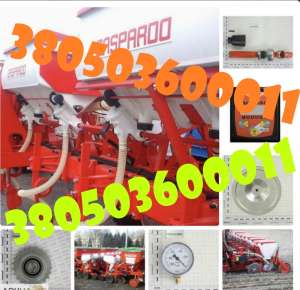   Gaspardo   ! - 