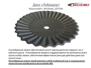   Kello-Bilt - 