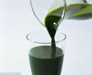   Liquid Chlorophyll NOW Foods  