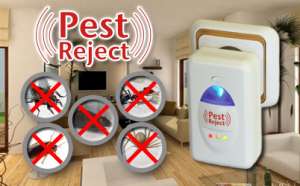   Pest Reject-    , , ,  - 180.