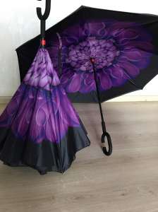   Reverse Umbrella    