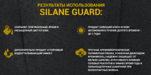   SIlane Guard, - 