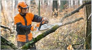   STIHL MS 170  .