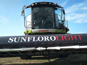   Sunfloro Light 8.8-11.3 