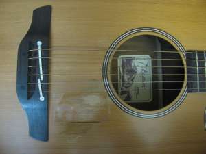   TAKAMINE EAN10C