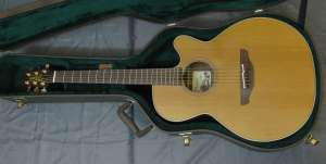   Takamine EAN40C(Japan)