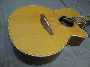   Takamine EAN40C(Japan)