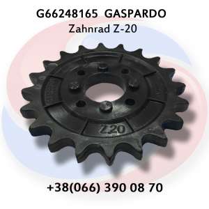   Z-20 G66248165 Gaspardo - 