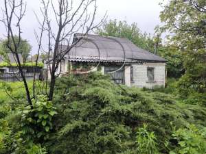  1-  , , 10500 $