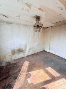  1-  , , 19000 $