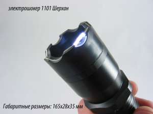  1101