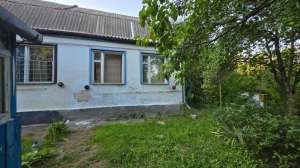  2-   ,  , 13000 $ - 