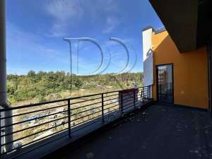  2-  , , 55000 $ - 