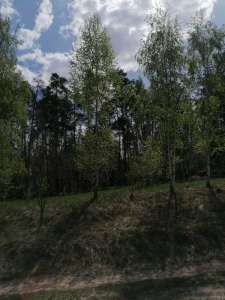  2-  , , 6500 $ - 
