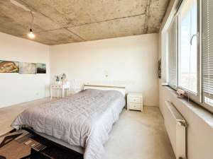  2-  , , 99000 $