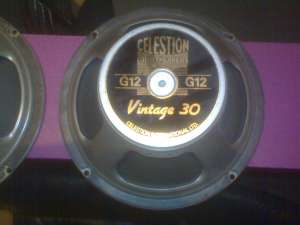  2   Celestion Vintage 30.   100 $    180$    .  