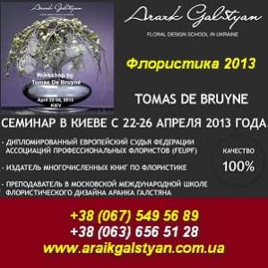  2013.  22-26  Tomas de Bruyne - 