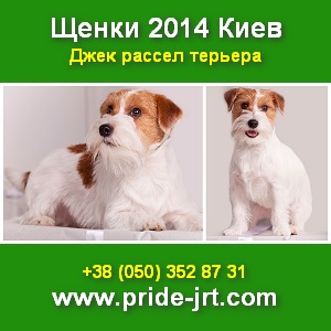  2014       - 