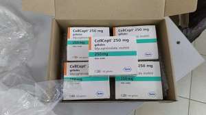  250 . Cellcept 250 mg ()