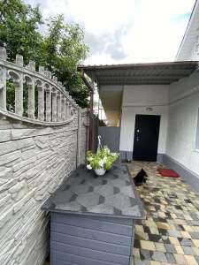  3-   , , 44000 $