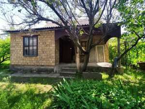  3-  , , 16500 $