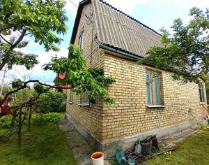  3-  , , 22000 $ - 