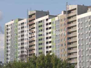  3-  , , 55000 $