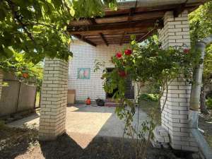  3-  , , 55000 $ - 