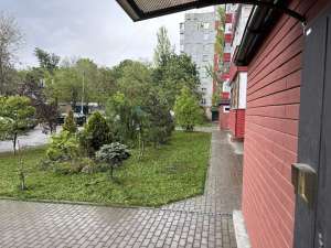 3-  , , 562660 . - 