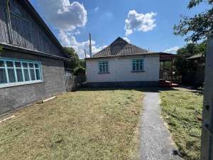  3-  , , 65000 $ - 